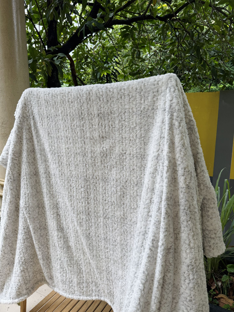 IMG_1913.webp
