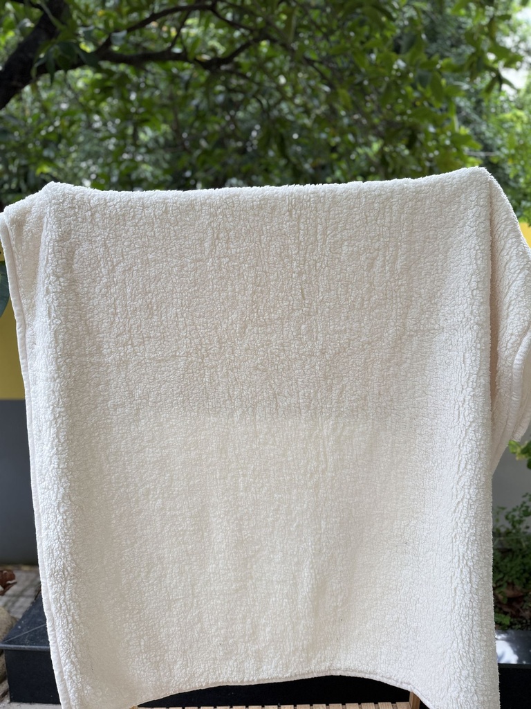 Chăn cừu xuất Mỹ allwhite